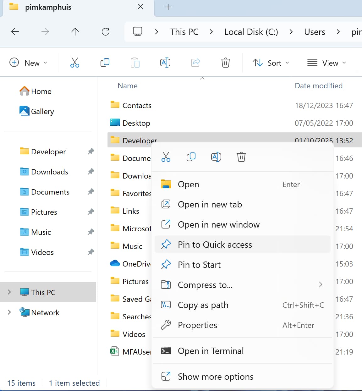 Developer folder in Explorer favorites